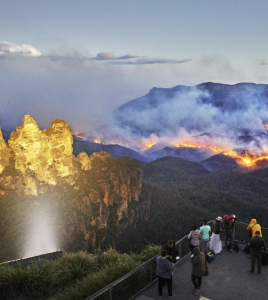 Bushfire Season